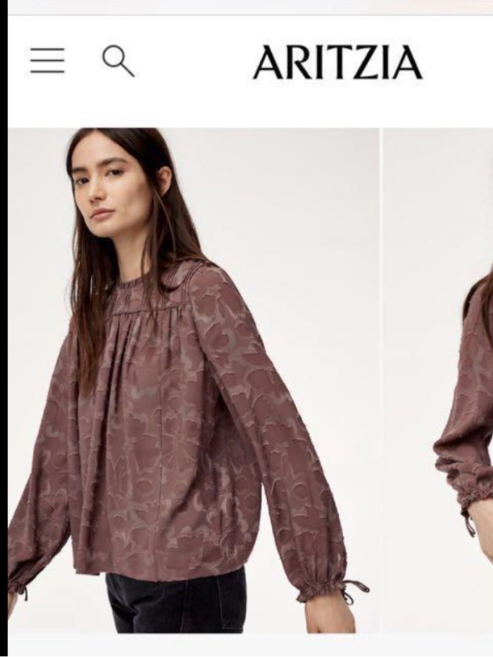Aritzia Lourdes Blouse